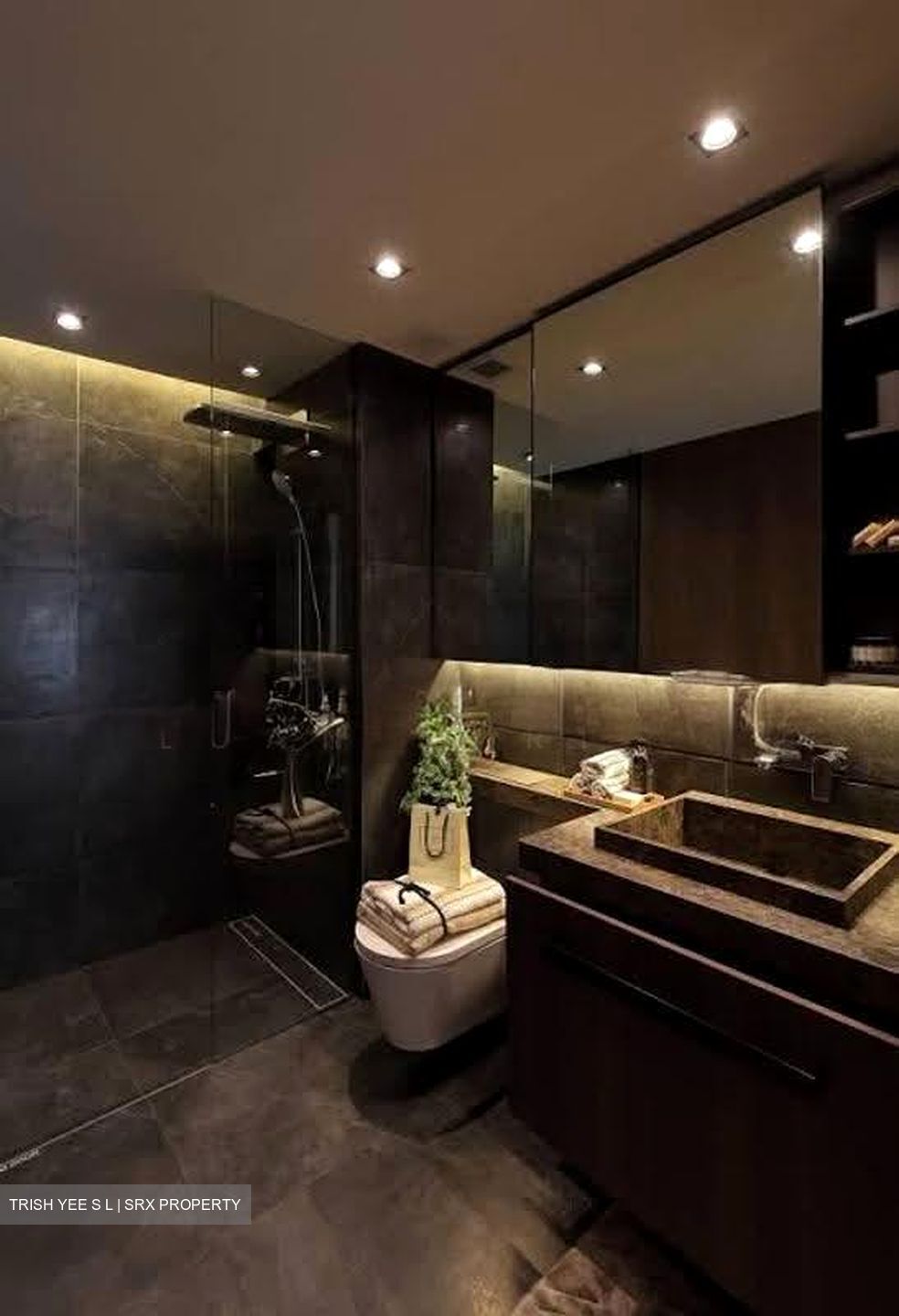 One Pearl Bank (D3), Apartment #623084431